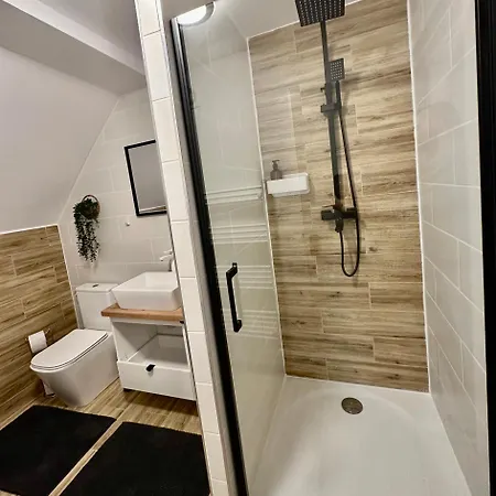 Apartment Sas Brasov