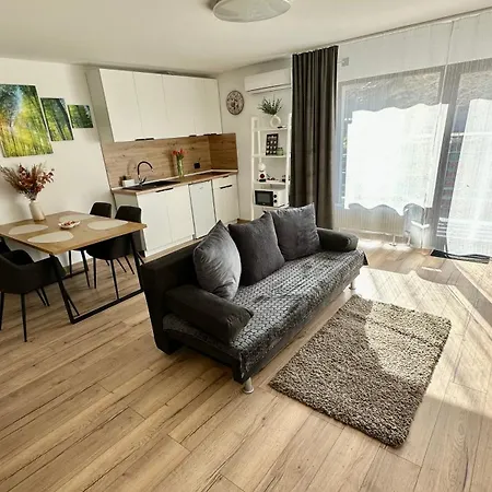 Sas Apartment Brasov