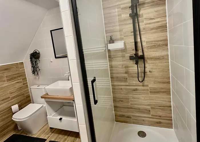 Apartment Sas Brasov