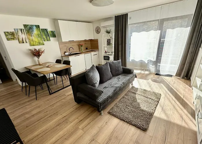 Sas Apartment Brasov